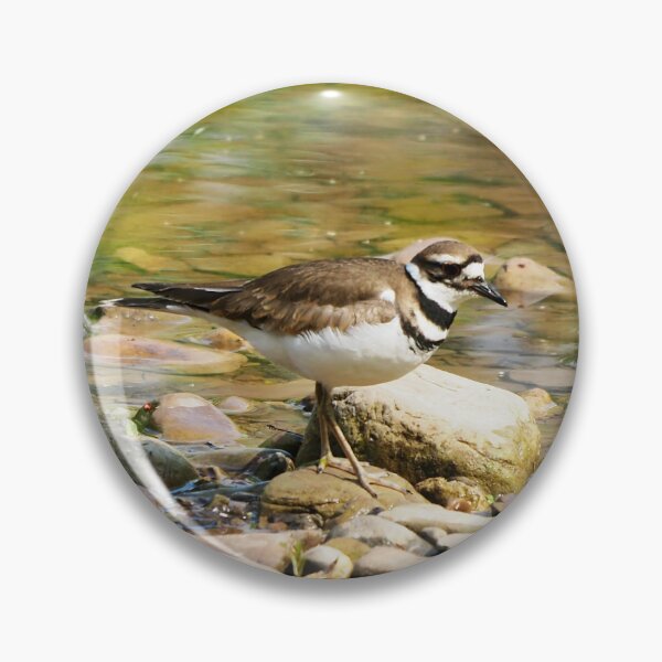 Item preview, Killdeer Exploring On Some Rocks designed and sold by BackyardBirder.