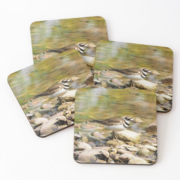 Item preview, Killdeer Exploring On Some Rocks designed and sold by BackyardBirder.