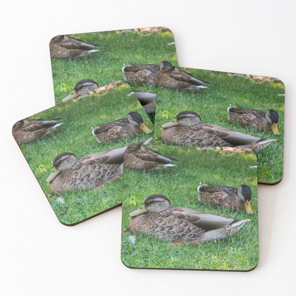 Item preview, Ducks Resting On The Grass Under a Tree designed and sold by BackyardBirder.