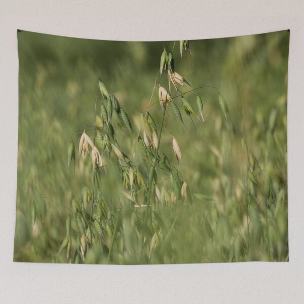 Item preview, One day it will be on your plate. Oat designed and sold by Jouko Lehto Photography.