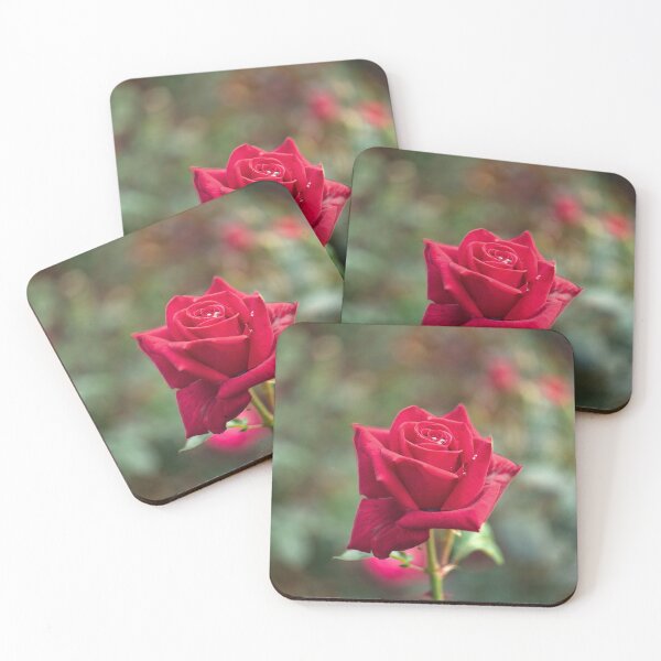 Item preview, Single Red Rose designed and sold by Alisonchambers2.