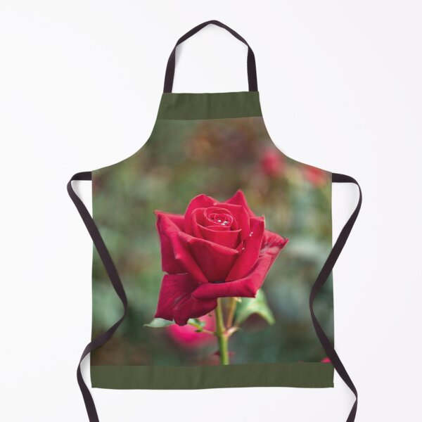 Item preview, Single Red Rose designed and sold by Alisonchambers2.