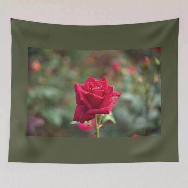 Item preview, Single Red Rose designed and sold by Alisonchambers2.