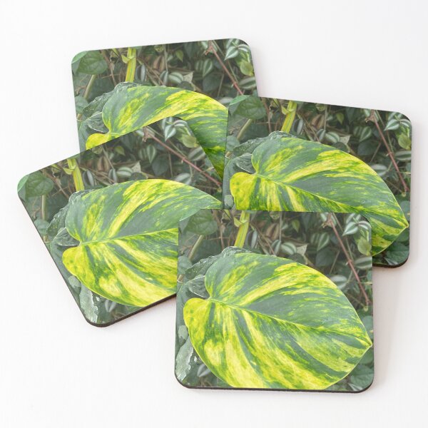 Item preview, Evergreen designed and sold by jarrahimages.