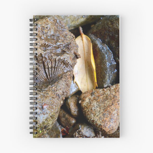Item preview, Ocean in the River designed and sold by Andrew Smyth.