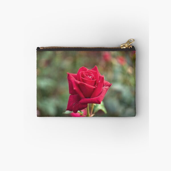 Item preview, Single Red Rose designed and sold by Alisonchambers2.