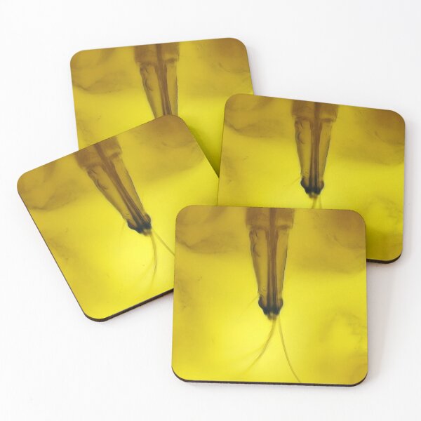 Item preview, Aphid mouth under the microscope designed and sold by SDym Photography.
