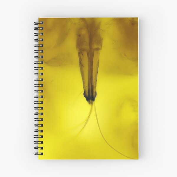 Item preview, Aphid mouth under the microscope designed and sold by SDym Photography.