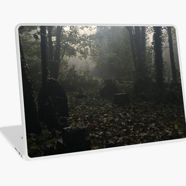 Misty graveyard Laptop Skin