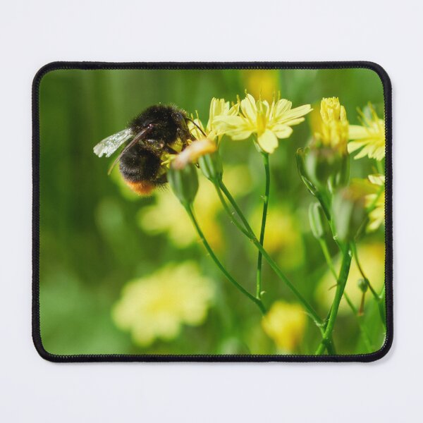 Item preview, Collector. Red-tailed bumblebee designed and sold by Jouko Lehto Photography.
