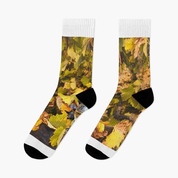 Item preview, vineyard with grapes red and white wine autumn season designed and sold by goceris.