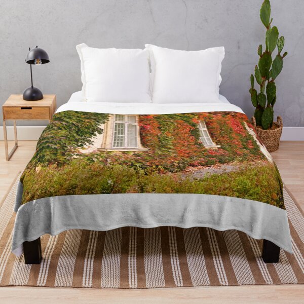 Item preview, wall with old wooden windows and colorful creeper leafs autumn season Vienna Austria designed and sold by goceris.