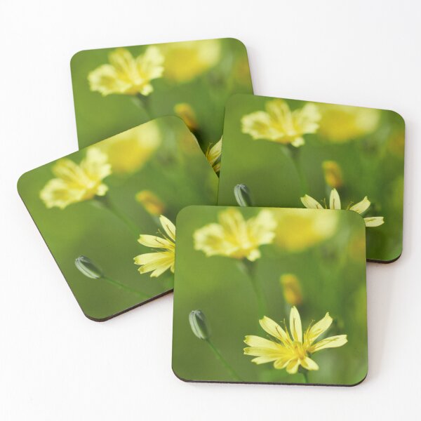 Item preview, Small and yellow. Common nipplewort designed and sold by Jouko Lehto Photography.