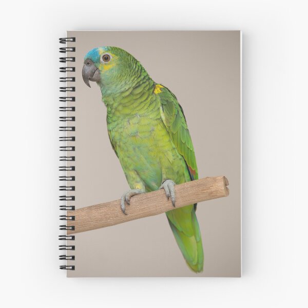 Item preview, Blue-fronted Amazon designed and sold by Jade Welch.