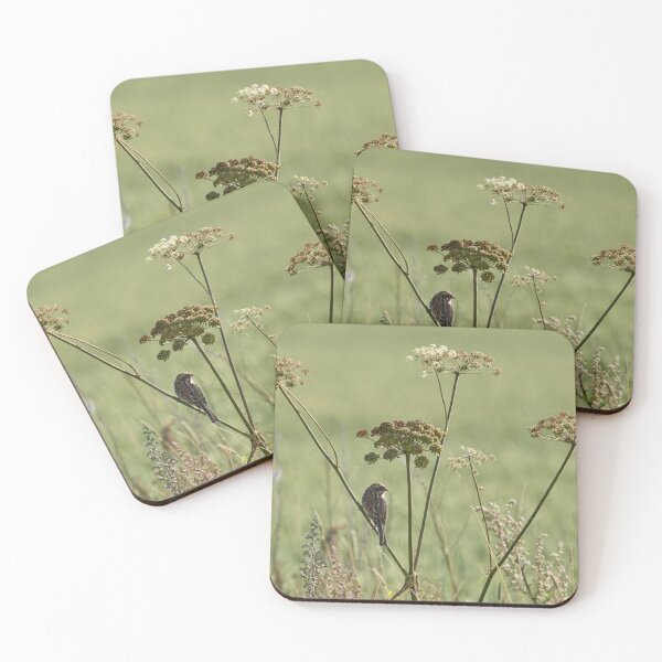 Item preview, The young one. Common reed bunting designed and sold by Jouko Lehto Photography.