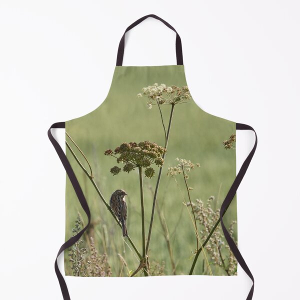 Item preview, The young one. Common reed bunting designed and sold by Jouko Lehto Photography.