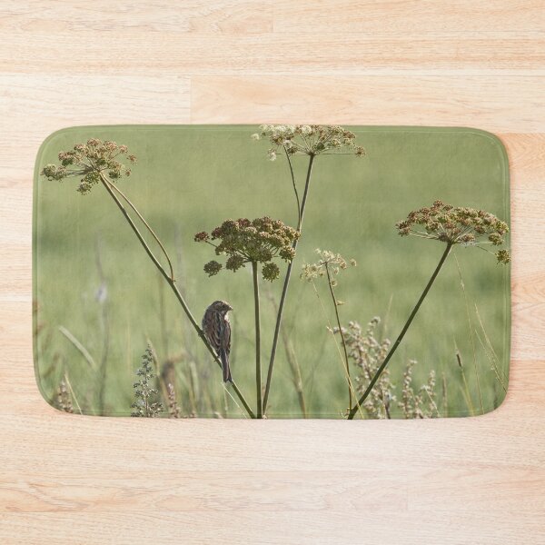 Item preview, The young one. Common reed bunting designed and sold by Jouko Lehto Photography.