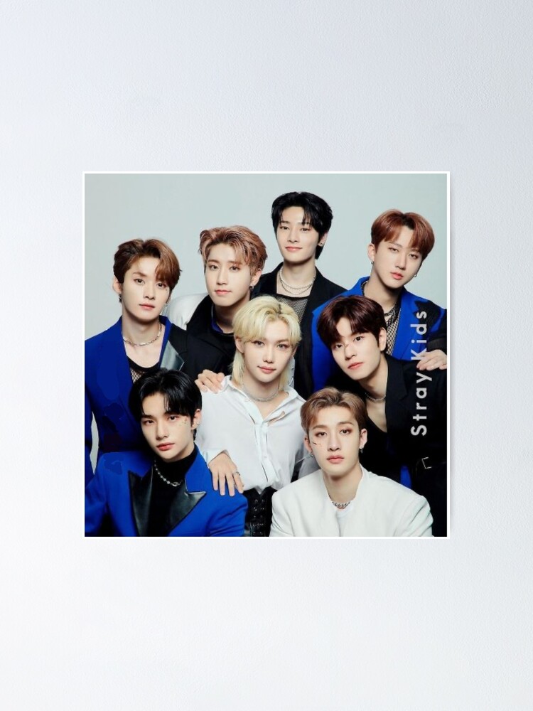 Stray Kids SKZ ot8 poster Kpop boy Group Members 