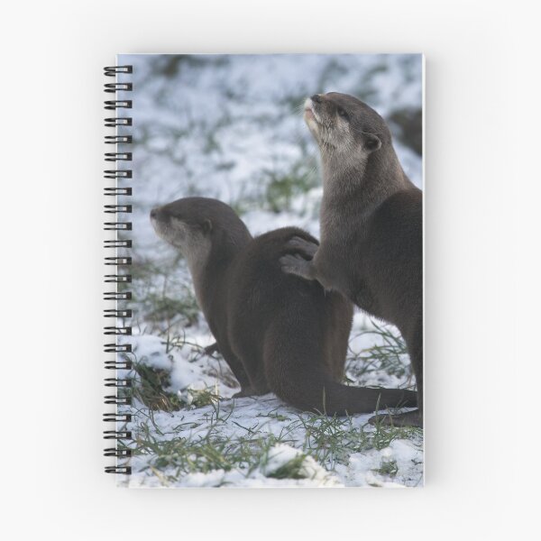 Item preview, Otters In The Snow designed and sold by rawshutterbug.
