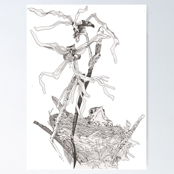 Item preview, Wood Thrush and Witch Hazel designed and sold by ChloeBirnie.
