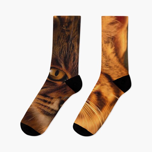 Item preview, Scottish Wildcat Photography 1 designed and sold by The Digital Compass.