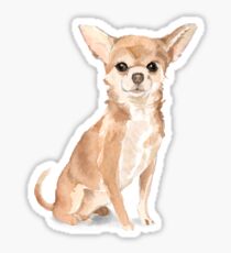 Chihuahua Sticker
