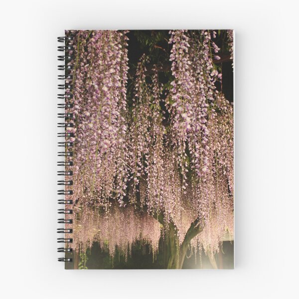 Item preview, Blushing Wisteria Willow: Merging Purple and Pink Harmonies - highres photo designed and sold by EmeraldeaArt.