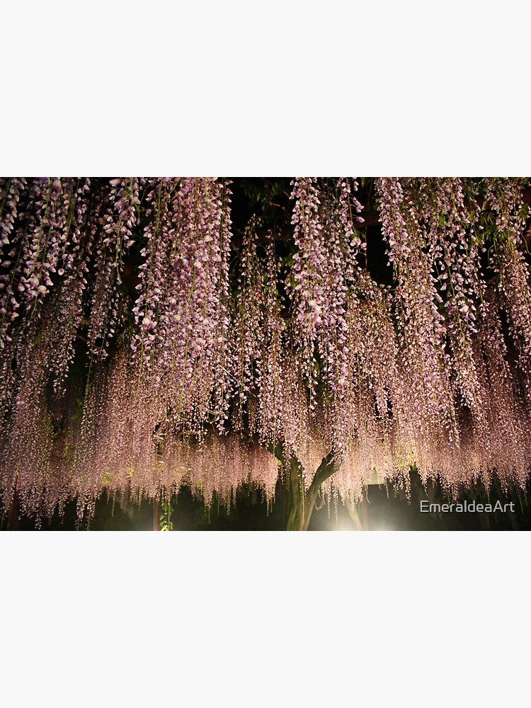 "Blushing Wisteria Willow Merging Purple and Pink Harmonies highres