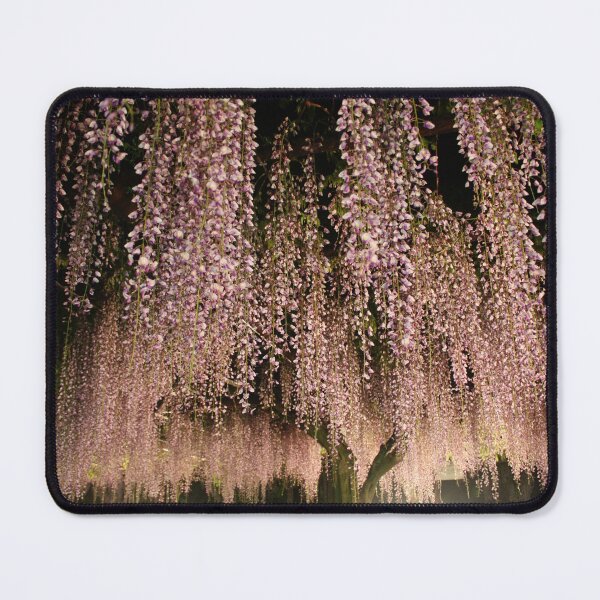 Item preview, Blushing Wisteria Willow: Merging Purple and Pink Harmonies - highres photo designed and sold by EmeraldeaArt.