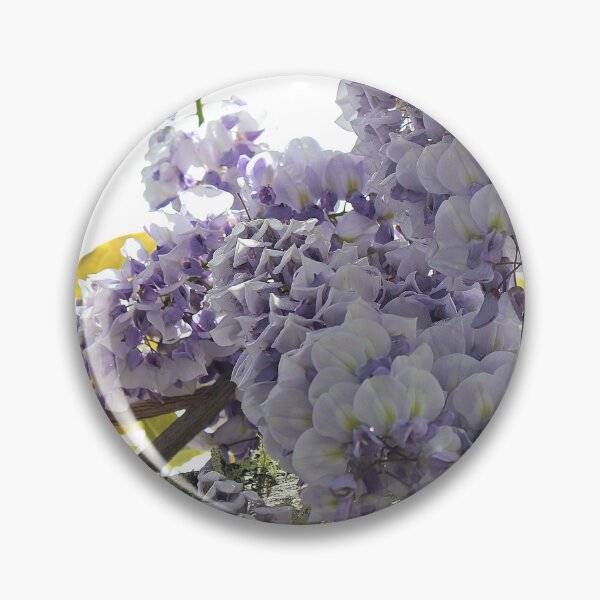 Item preview, Wisteria Waltz: Enchanting Transition from Purple to White - wisteria dangling flower close highres photo designed and sold by EmeraldeaArt.