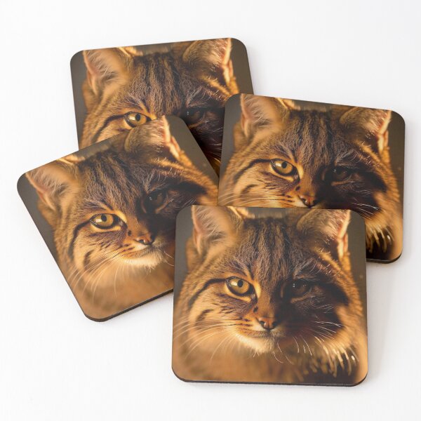 Item preview, Scottish Wildcat Photography 2 designed and sold by The Digital Compass.