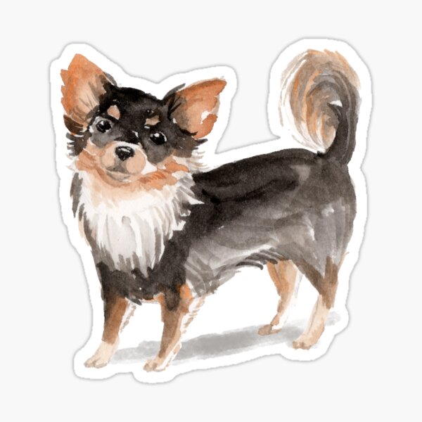 Item preview, Long Haired Chihuahua designed and sold by PineLemon.