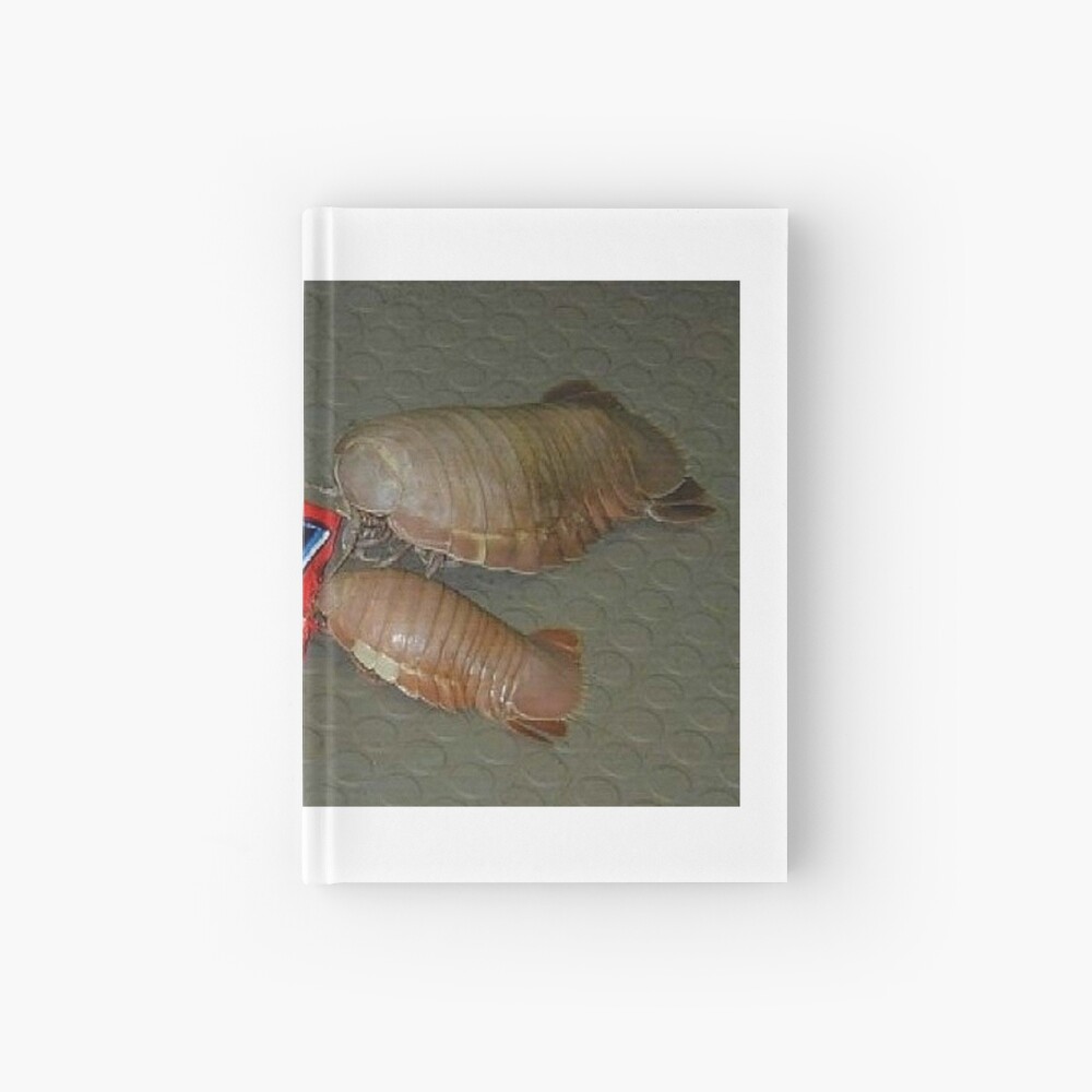 isopod pillow