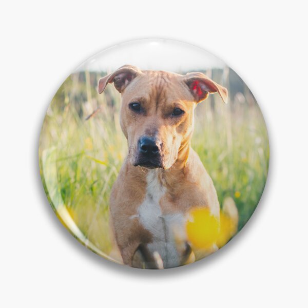 Item preview, Dog in the flower field designed and sold by WeightPulling.