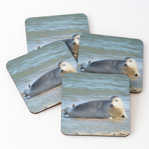 Item preview, Seal designed and sold by JEZ22.