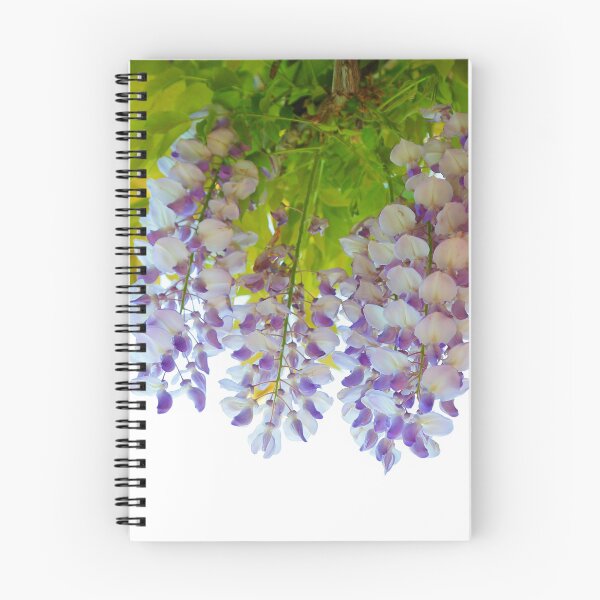 Item preview, Enchanted Petal Dance: Wisteria's Graceful White-to-Purple Shift designed and sold by EmeraldeaArt.