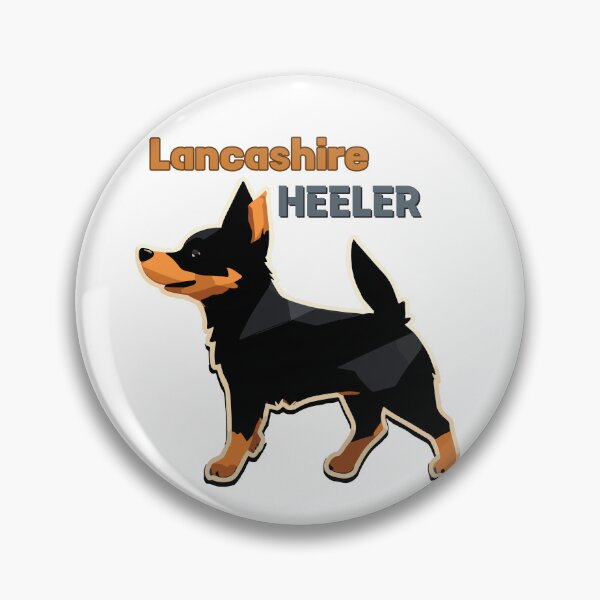Item preview, Perro adorable Lancashire Heeler designed and sold by MonkaDesigns.
