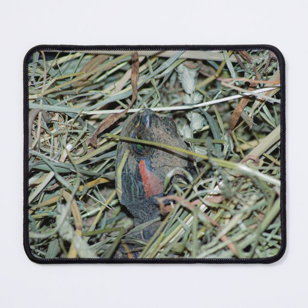 Item preview, Peeping Turtle designed and sold by AtrixArt.