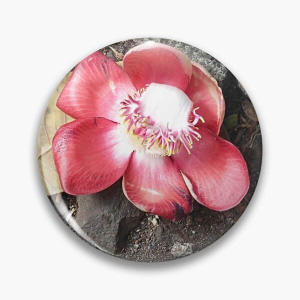 Item preview, Cannonball bloom designed and sold by Ananta78.