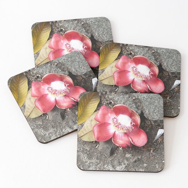 Item preview, Cannonball bloom designed and sold by Ananta78.