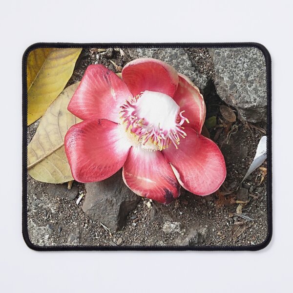 Item preview, Cannonball bloom designed and sold by Ananta78.
