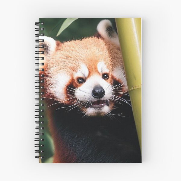 Item preview, Red Panda Photography designed and sold by The Digital Compass.