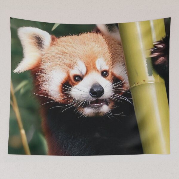Item preview, Red Panda Photography designed and sold by The Digital Compass.