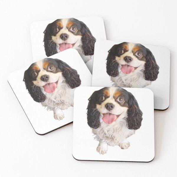 Item preview, Los Cavalier King Charles Spaniel son perros fantásticos. designed and sold by Debsgiftware .