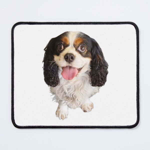 Item preview, Cavalier King Charles Spaniel are great dogs. designed and sold by Debsgiftware Ward.