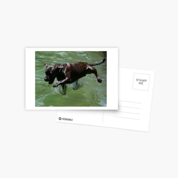 Zeus 2009 Postcard