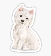 Westie Sticker