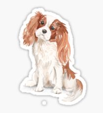Cavalier King Charles Spaniel Sticker
