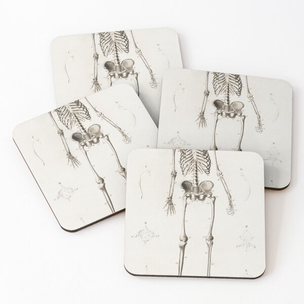 Item preview, Human Skeleton Illustration designed and sold by Angry Swan Designs.