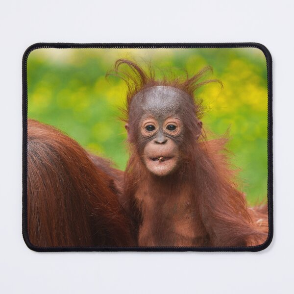 Item preview, Quirky Charm of an Orangutan Baby designed and sold by rawshutterbug.